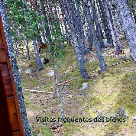 Vue Sous Cet *